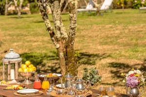 AnyConv.com__Picnic-Mini-Wedding-Summer-Wedding_Wedding-Planner-in-Portugal-6