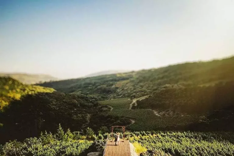 Vineyard-Wedding-Venue_Wedding-Planner-in-Portugal5