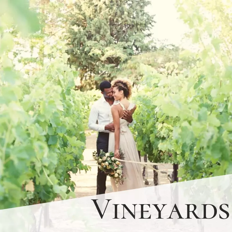 Finding Your Wedding Style Ideas vineyard wedding