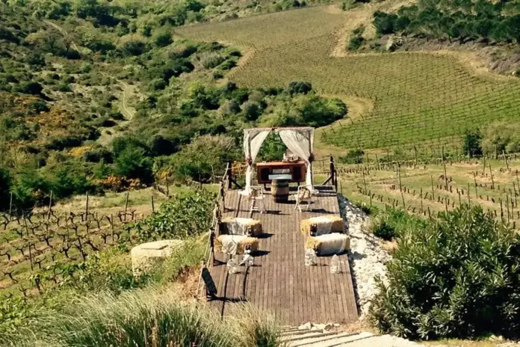 rustic wedding vineyard