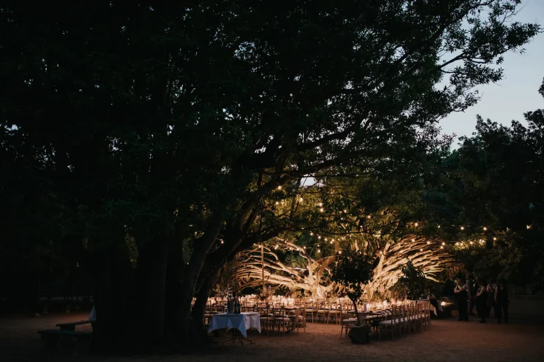 Lisbon Wedding Package 2025 - Botanical Garden Wedding